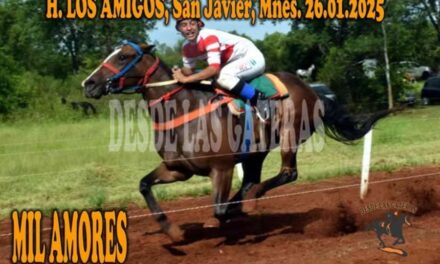 MIL AMORES – HÍPICO LOS AMIGOS 26 DE ENERO 2025