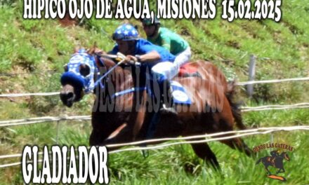 GLADIADOR – HÍPICO DON ALVARO 23 DE FEBRERO 2025