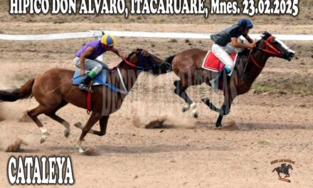 CATALEYA – HÍPICO DON ALVARO 23 DE FEBRERO 2025