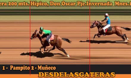 FOTOCHARTS Y RESULTADOS – HÍPICO DON OSCAR 16 DE MARZO 2025
