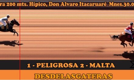 FOTOCHARTS – HÍPICO DON ALVARO 30 DE MARZO 2025