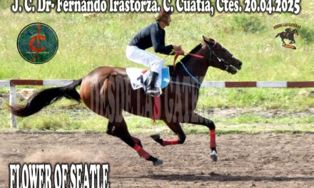 FLOWER OF SEATLE – P. P. JOCKEY CLUB DR. FERNANDO IRASTORZA 20 DE ABRIL 2025
