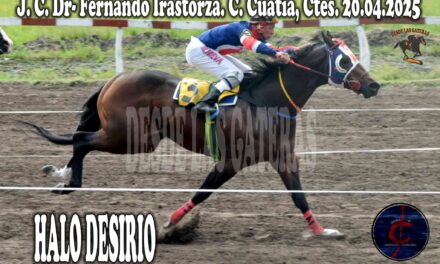 HALO DESIRIO – P. P. JOCKEY CLUB DR. FERNANDO IRASTORZA 20 DE ABRIL 2025