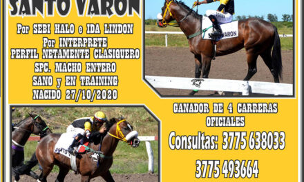 NOVEDADES – EN VENTA SANTO VARÓN