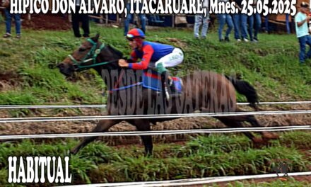 HABITUAL – HÍPICO DON ALVARO 25 DE MAYO