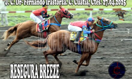 RESEGURA BREEZE – JOCKEY CLUB DR. FERNANDO IRASTORZA 27 DE ABRIL 2025