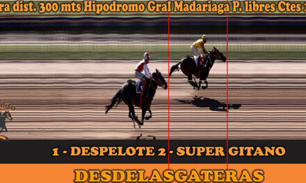 FOTOCHARTS – HIPÓDROMO GENERAL MADARIAGA 11 DE MAYO 2025