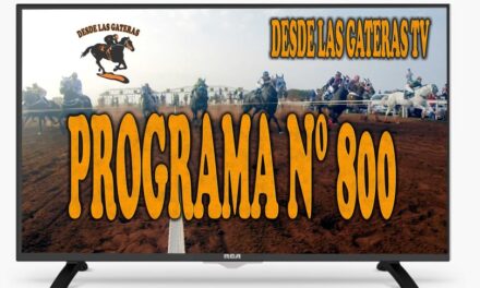 NOVEDADES – LLEGAMOS A LOS 800 PROGRAMAS