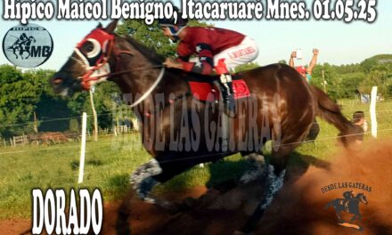 DORADO – HÍPICO MAICOL BENIGNO 1 DE MAYO 2025