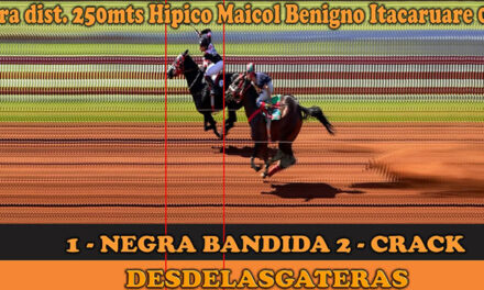 FOTOCHARTS – HÍPICO MAICOL BENIGNO 1 DE MAYO 2025