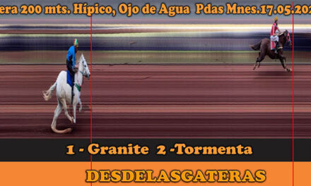 FOTOCHARTS – HÍPICO OJO DE AGUA 17 DE MAYO 2025