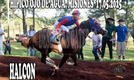 HALCÓN – HÍPICO OJO DE AGUA 17 DE MAYO 2025
