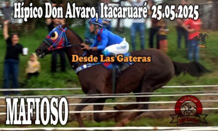 MAFIOSO – HÍPICO DON ALVARO 25 DE MAYO 2025