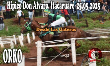 ORKO – HÍPICO DON ALVARO 15 DE MAYO 2025