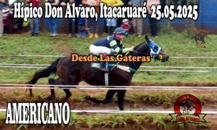 AMERICANO – HÍPICO DON ALVARO 25 DE MAYO