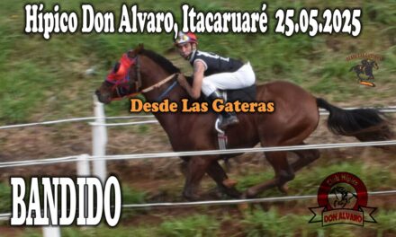 BANDIDO – HÍPICO DON ALVARO 25 DE MAYO 2025