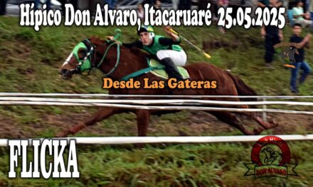FLICKA – HÍPICO DON ALVARO 25 DE MAYO 2025