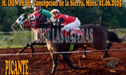 PICANTE – HÍPICO DON PEPE 1 DE JUNIO 2025