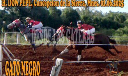 GATO NEGRO – HÍPICO DON PEPE 1 DE JUNIO 2025