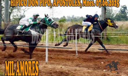 MIL AMORES – HÍPICO DON PIPO 7 DE JUNIO 2025