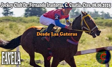 FAVELA – JOCKEY CLUB DR. FERNANDO IRASTORZA 8 DE JUNIO 2025