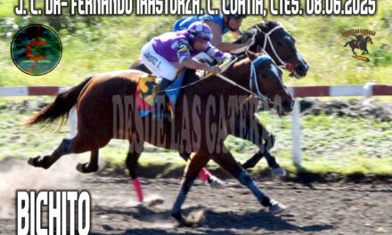 BICHITO – JOCKEY CLUB DR. FERNANDO IRASTORZA 8 DE JUNIO 2025
