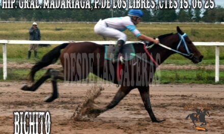 BICHITO – HIPÓDROMO GENERAL MADARIAGA 8 DE JUNIO 2025