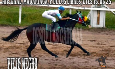 VIEJO NEGRO – HIPÓDROMO GENERAL MADARIAGA 15 DE JUNIO 2025