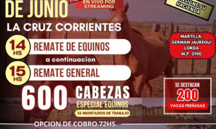 REMATE – HACIENDAS CORRENTINAS 5 DE JUNIO 2025