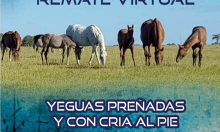 REMATE – RINCÓN DEL AGUARÁ 21 DE JUNIO 2025