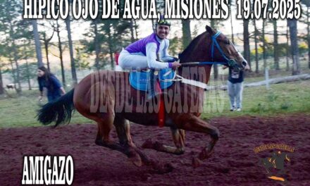 EN EL DIA DEL AMIGO…