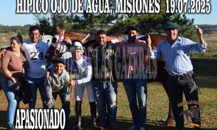 FUE PURA PASION