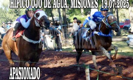 FUE PURA PASION