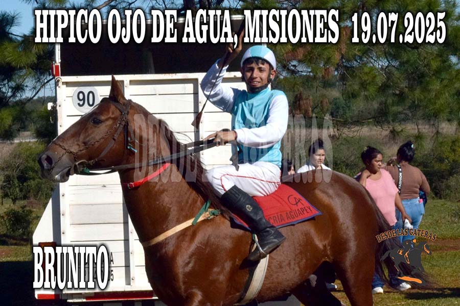 BRUNITO FUE EFECTIVO