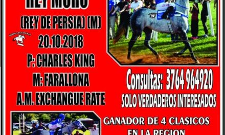 NOVEDADES – EN VENTA REY MORO