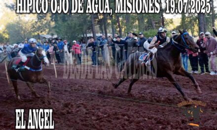 UN ANGEL QUE NO VINO DEL CIELO