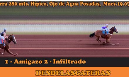 Resultados de lo acontecido hoy por la tarde en el Hipico OJO DE AGUA 19/07/25