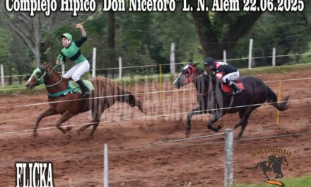 FLICKA – HÍPICO DON NICÉFORO 22 DE JUNIO 2025