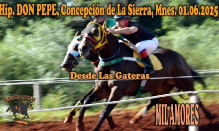 MIL AMORES – HÍPICO DON PEPE 1 DE JUNIO 2025