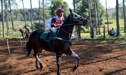 AMERICANO — HIPICO «DON OSCAR» PARAJE LA INVERNADA 17.08.20225