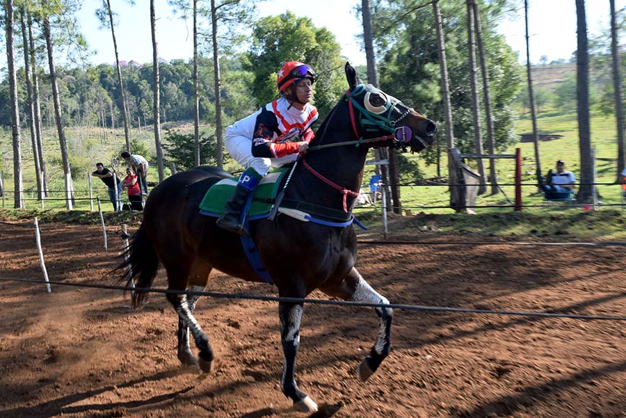 AMERICANO — HIPICO «DON OSCAR» PARAJE LA INVERNADA 17.08.20225