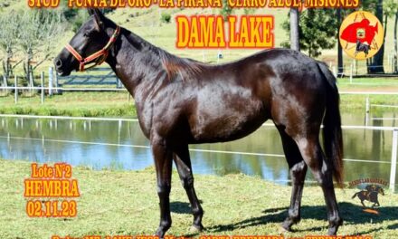 DAMA LAKE