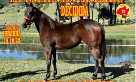 DECIDIDA