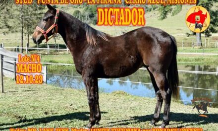 DICTADOR
