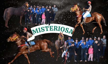 DEVELO EL MISTERIO