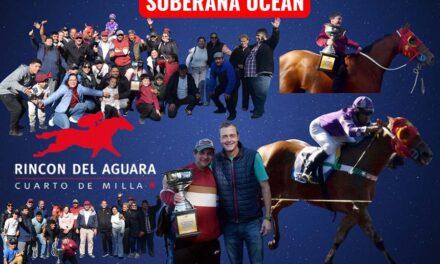 SOBERANA EN CANCHA
