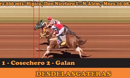 Resultados de lo sucedido en la gran jornada de este Domigo 10-08-25 en el Don Niceforo de Alem
