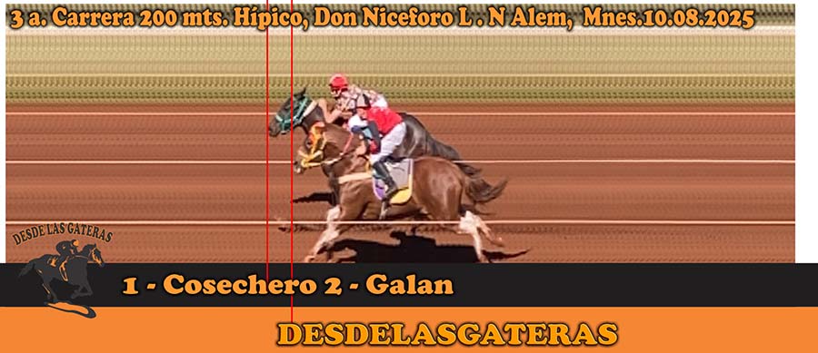 Resultados de lo sucedido en la gran jornada de este Domigo 10-08-25 en el Don Niceforo de Alem