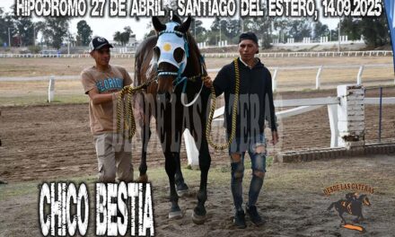 CHICO BESTIA