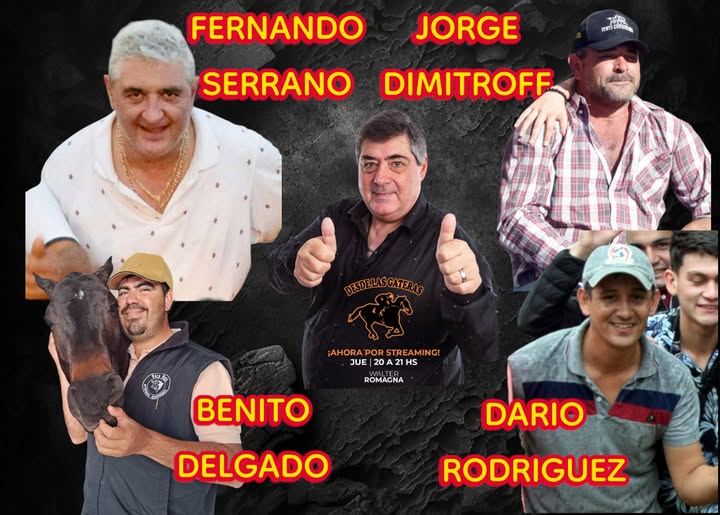 DESDE LAS GATERAS POR STREAMING N 11